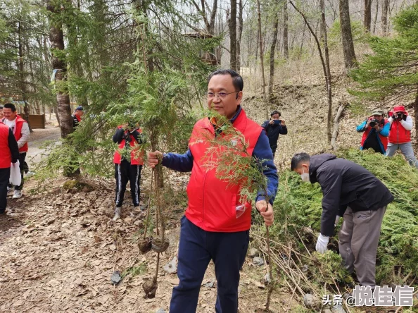 DNF玩家热议：冰晶凤凰与烈焰朱雀，哪款宠物造型更吸睛？