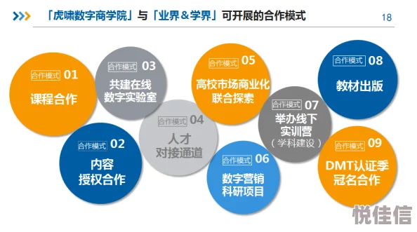 考研咨询院校专业选择与备考策略深度探索分析