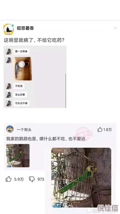 男人爱看最爽Aⅴ网站网友称内容低俗画质差劲浪费时间