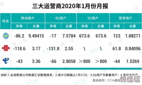 中国x站安装包2024为什么资源全面覆盖广泛满足用户所需