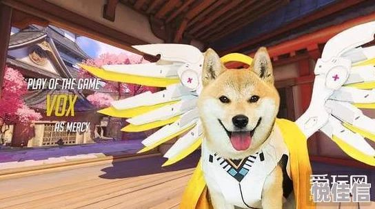 Doge跨界挑战！柴犬神级COS撞上OW守望先锋热门新英雄