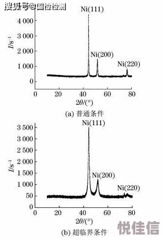 manta haya177773kino的功能介绍 因其高质量的资源和个性化推荐而备受关注