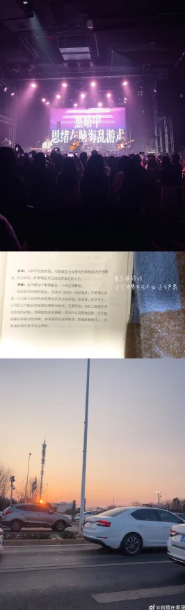 虎骚视频精彩生活尽在眼前记录2025美好瞬间