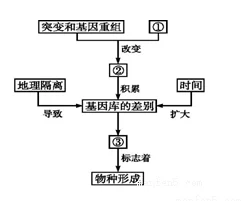 达尔文进化岛新探：细胞基因功能作用与最新热门研究详解