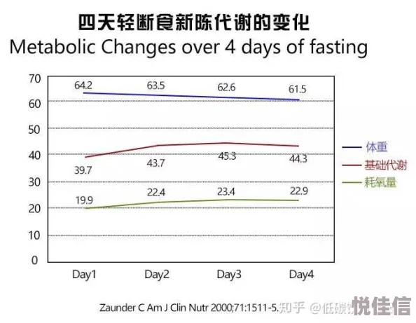 磨豆浆做运动轻断食生酮饮食成2025健康新潮流