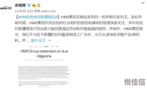 网址成人内容为何备受关注，是猎奇还是刚需？