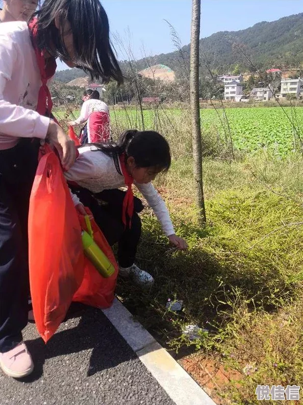 家园卫士时装选择指南：最佳搭配推荐与技巧