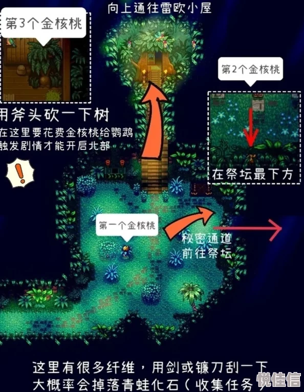 《星露谷物语》姜岛解锁攻略详解 ｜ 全面指南教你如何开启新区域