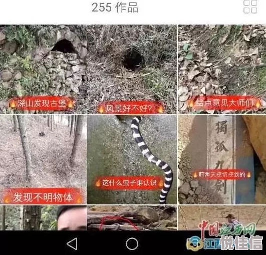 地铁逃生：白泽与蟒蛇谁更强大？全面对比分析