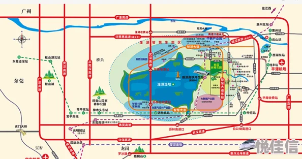 秩序新曙光中期如何高效发展？