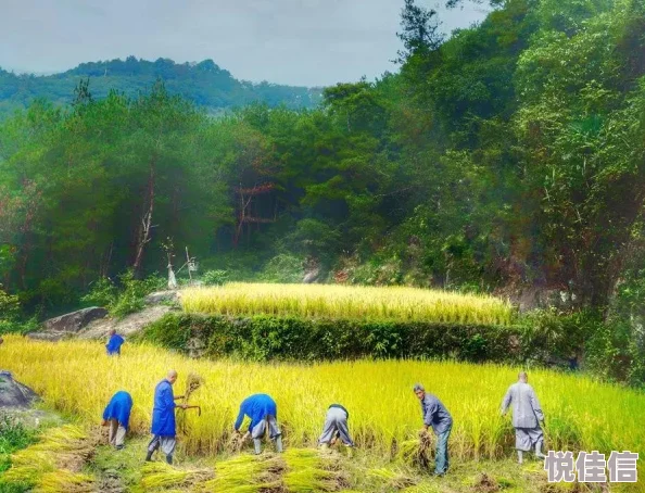 《无限暖暖》幽引花途套装各部件都有哪些属性？