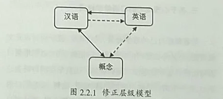 战斗时，选择哪种视角能更占先机？——视角选择对战斗效率的影响探析