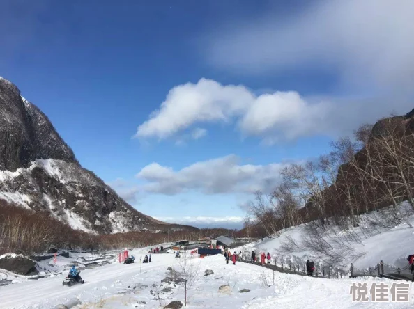 《七日世界》中，探索雪国人生食谱的全面指南在哪里？