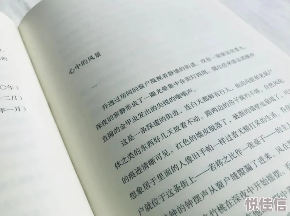 文豪迷犬怪奇谭深度解析梶井基次郎角色价值及文学影响探究