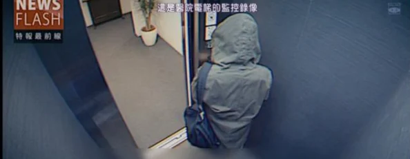 小森生活背包满载解决方案：深度攻略与物品管理技巧详解