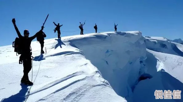 暖雪触发流玩法攻略一览：新手向暖雪触发流怎么玩？