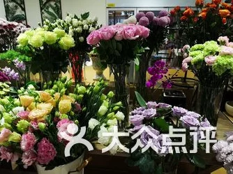 东花坊时雨值得抽吗？原神新武器强度解析