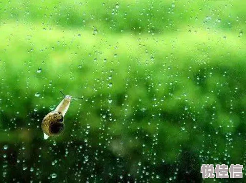 桃源深处有人家迎春雨：「雨水」节气将启，活动亮点抢先窥探？