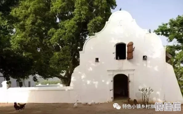 港岛农场与生存：探索自给自足的理想生活