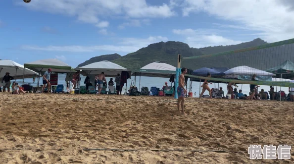 Beach Volley Clash- The Ultimate Showdown on Sand!