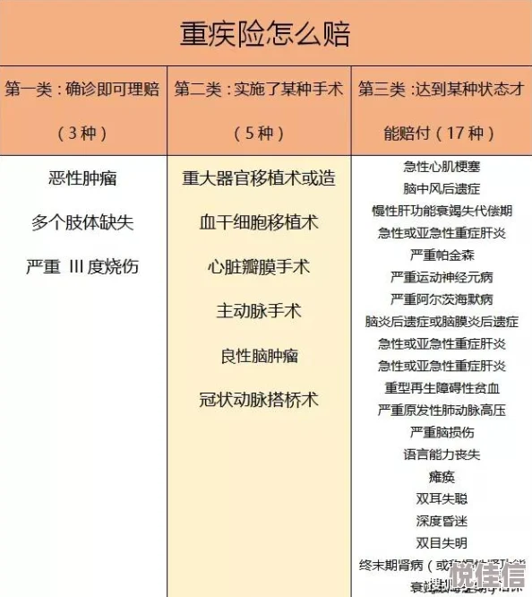 筑基之路：普通人如何自制筑基丹的详尽指南与疑问解答