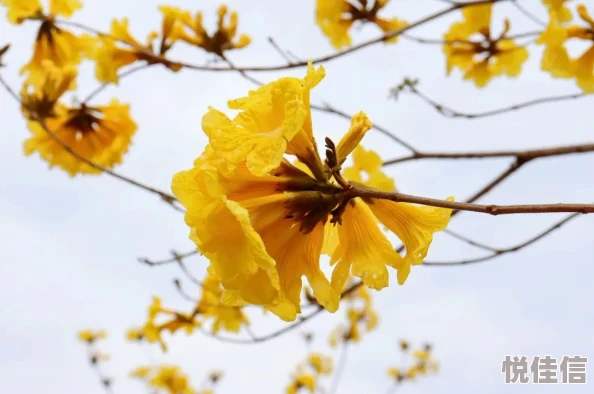 春暖花开，万物复苏，生机盎然！