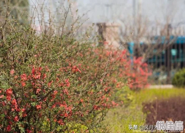 春暖花开，万物复苏，生机盎然！