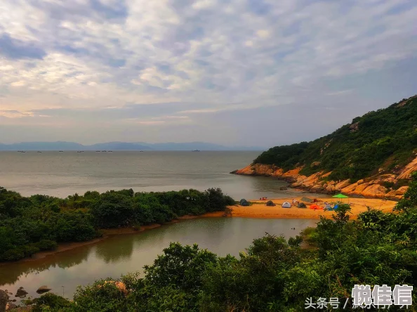 荒岛生存挑战：探寻水源与食物来源，首要难题——饮用水从何觅得？