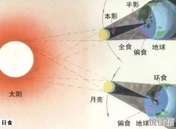 归龙潮影遇中浦首日拍照位置深度解析与指南