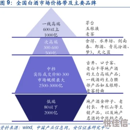 深入解析《文明6》中殖民政策的具体实施与影响